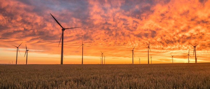 Creating Safe Working Environments for Power Tool Use