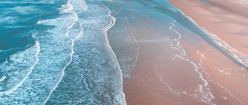 Summer Beachy DIY Decor for an Indoor Oasis