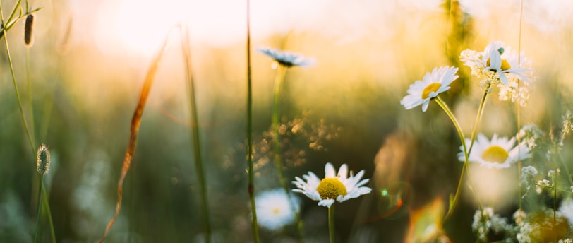 Spring Floral DIY Decor for Your House