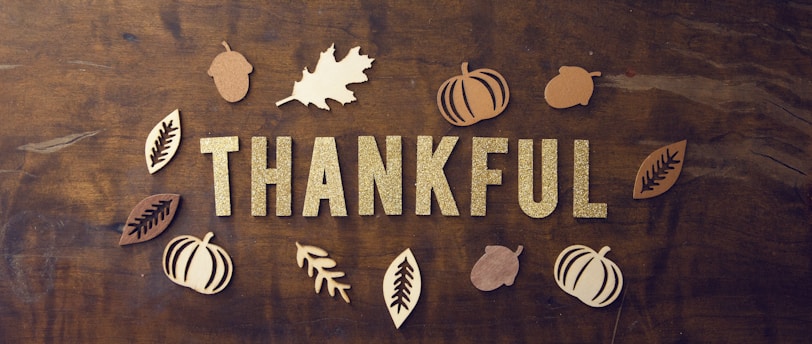 Thanksgiving Harvest-Themed DIY Decor: Celebrate the Season with Creative Touches